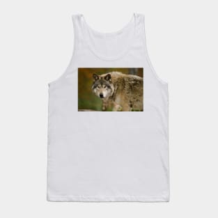 Gray Wolf Tank Top